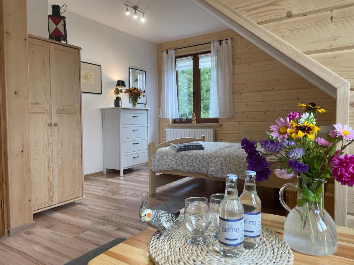 Apartamento Kolejowy Smolnik Smolnik  Exterior foto