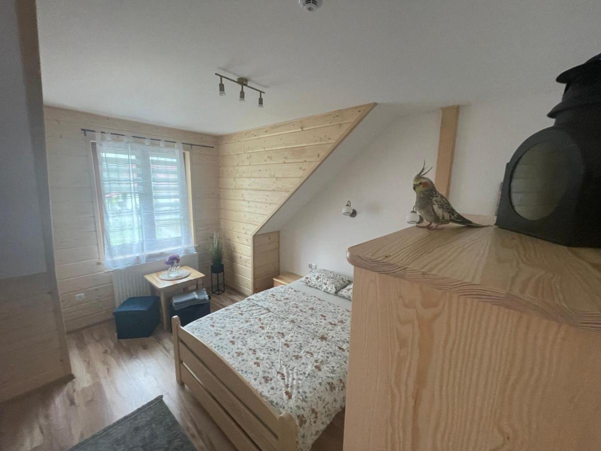 Apartamento Kolejowy Smolnik Smolnik  Exterior foto